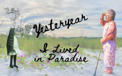 Terry Fortner, Yesteryear I Lived In Paradise