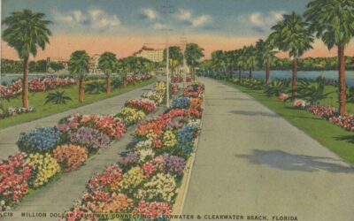 Our Clearwater Postcard Collection
